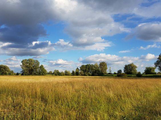 photo_2025-08-01_17-05-27 (3)
