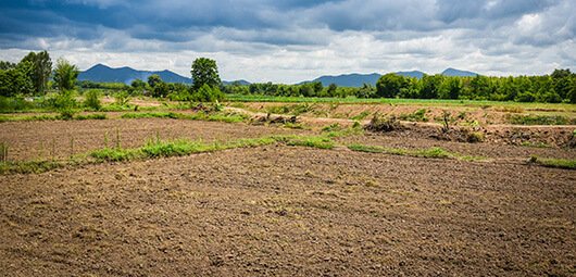 Форест парк Можайск